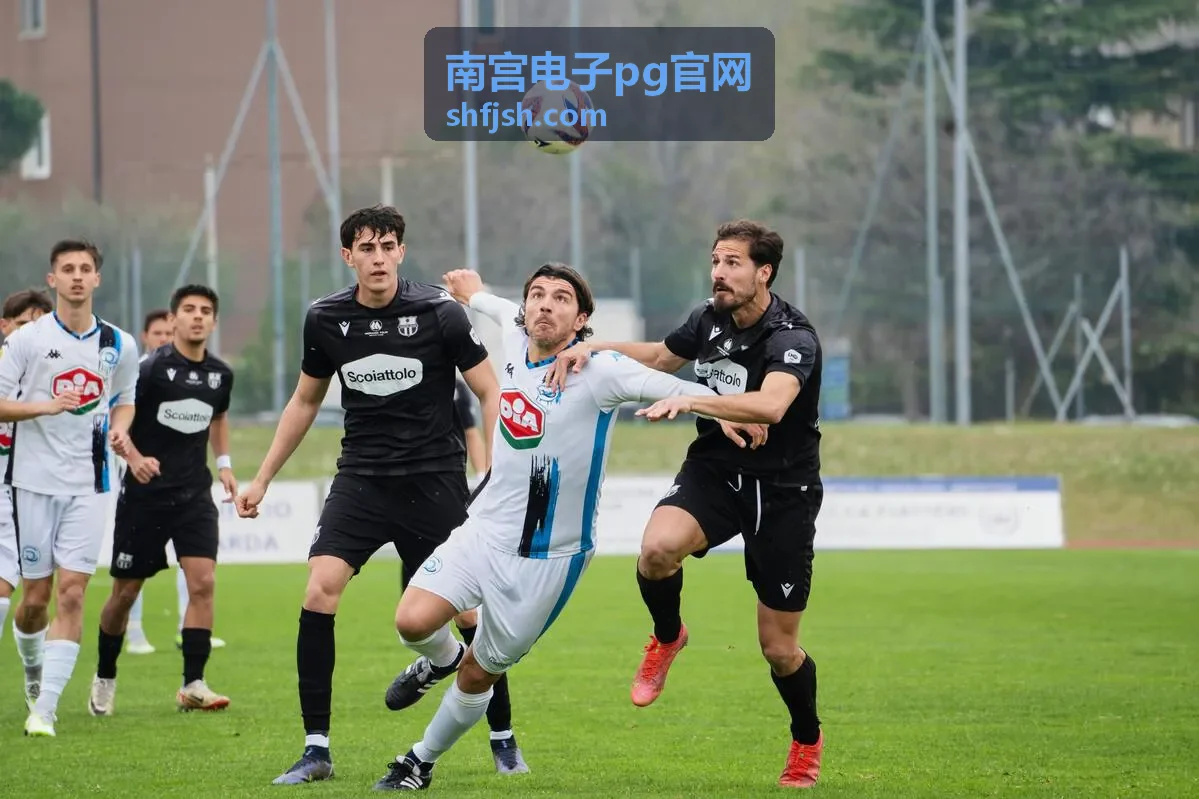 南宫电子pg官网当晚主时段直播画面预览